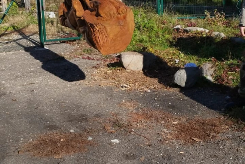 Projekty / Projekt NCH Po stopách Maginhradu - foto Projekty / Projekt NCH Po stopách Maginhradu - foto