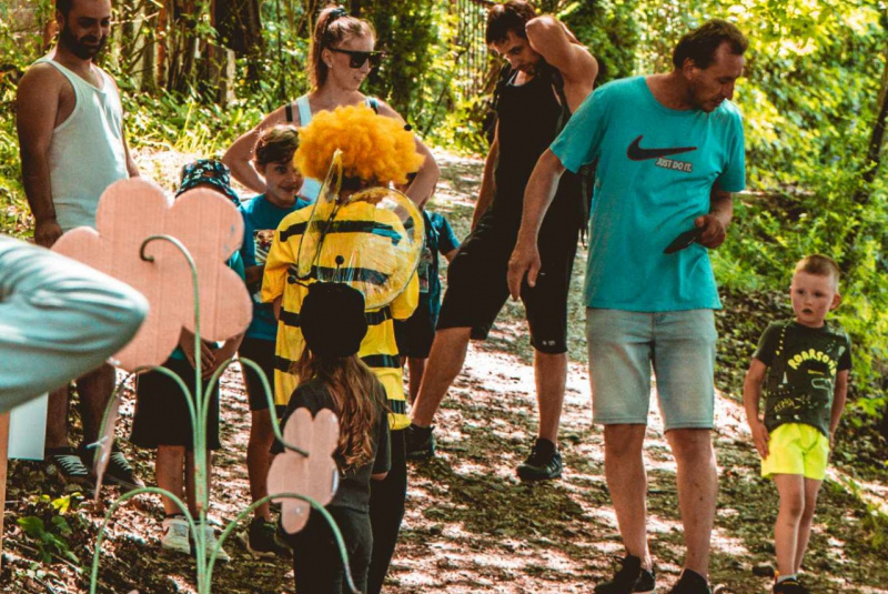 Zaujímavosti / Cesta rozprávkovým lesom - foto Zaujímavosti / Cesta rozprávkovým lesom - foto