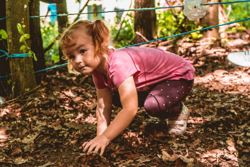 Zaujímavosti / Cesta rozprávkovým lesom - foto Zaujímavosti / Cesta rozprávkovým lesom - foto