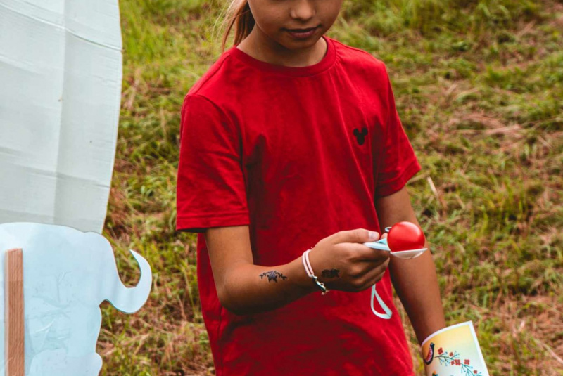 Zaujímavosti / Cesta rozprávkovým lesom - foto Zaujímavosti / Cesta rozprávkovým lesom - foto